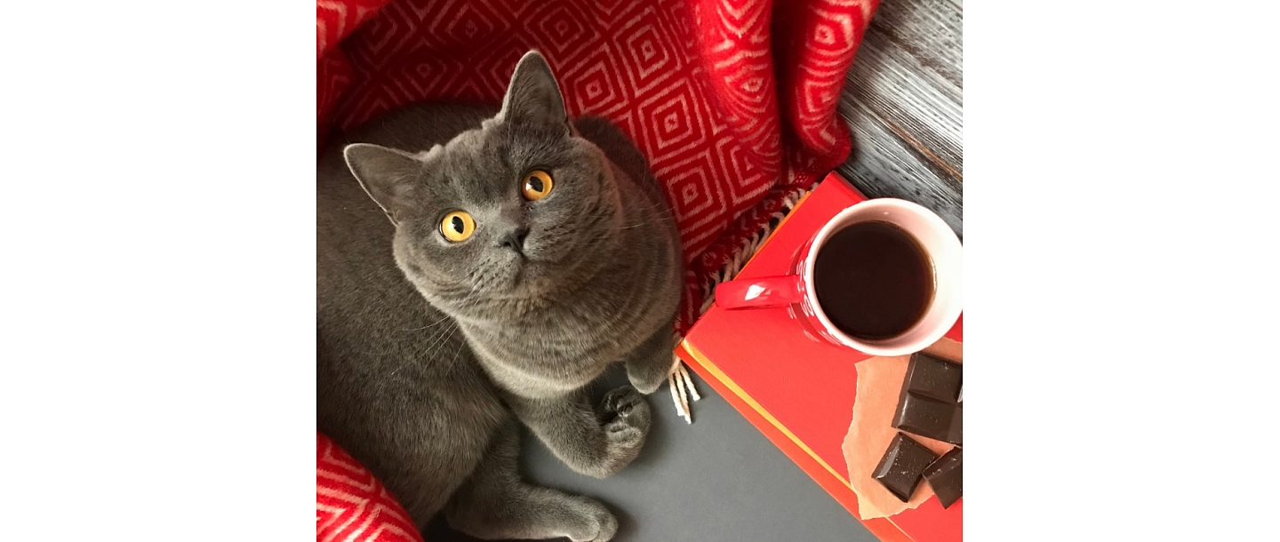 Safe environment and care for animal health on a daily basis.