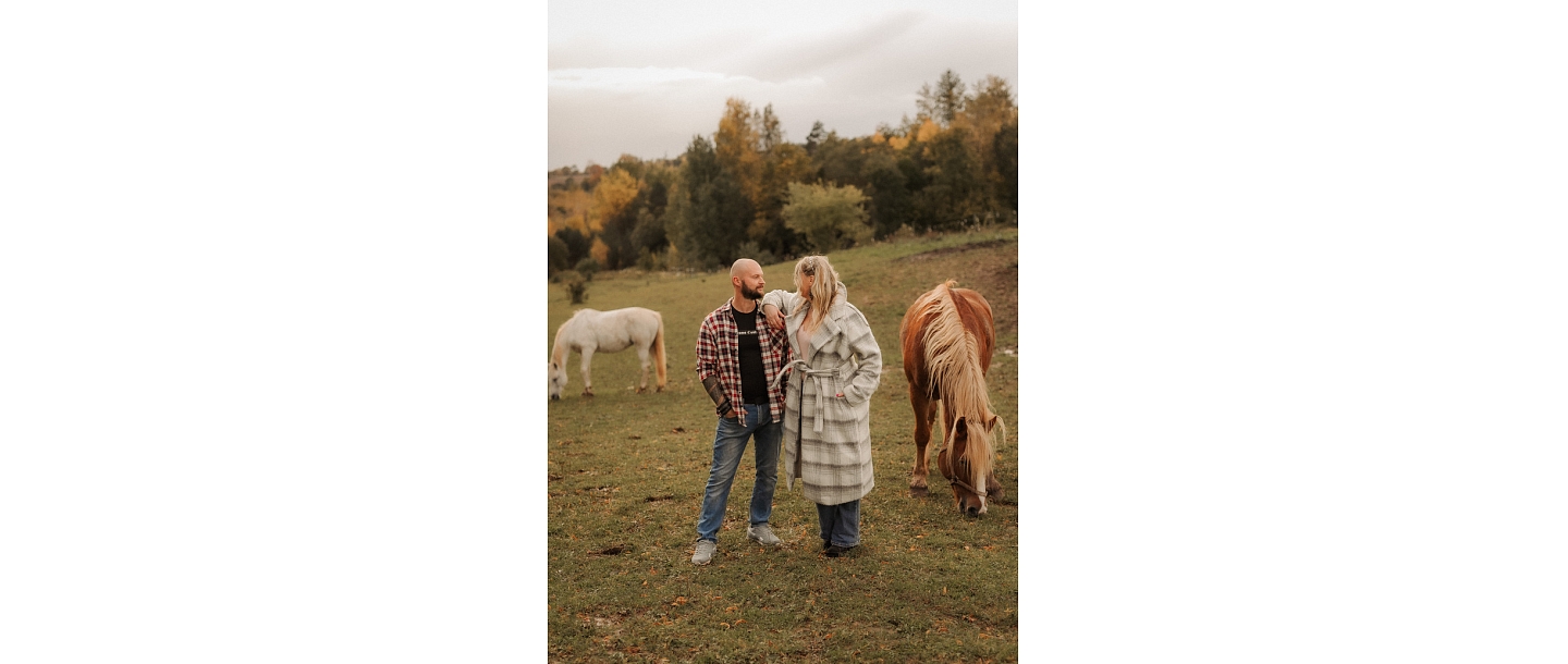 Photo session with horses