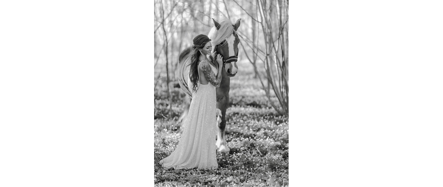 Photo session with horses