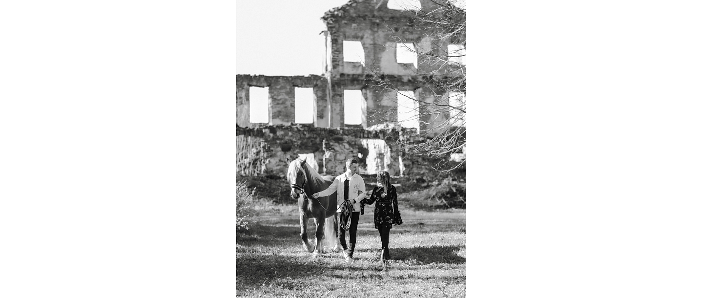 Photo session with horses