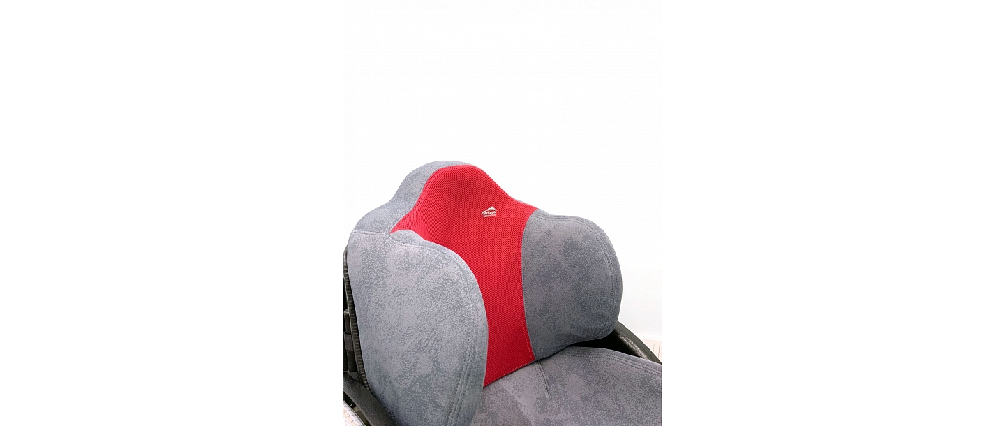 Agilis red with gray