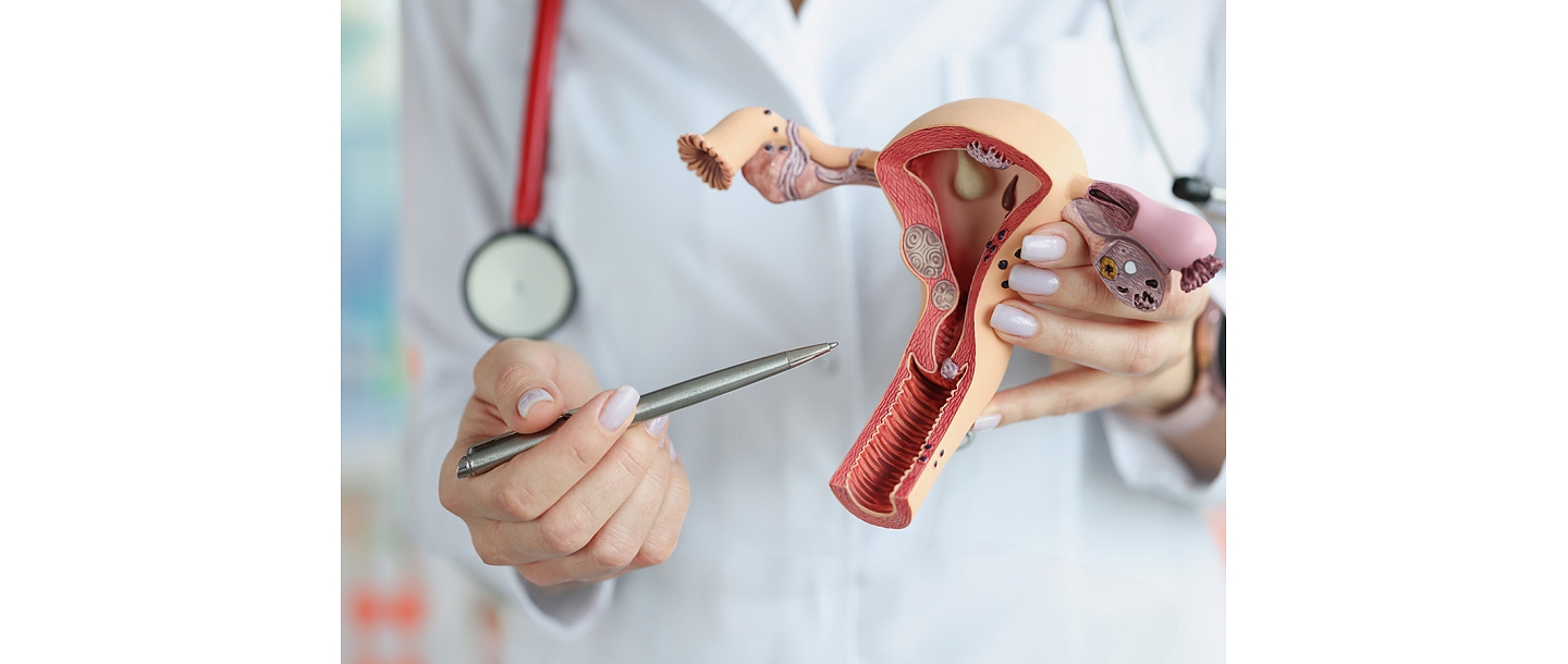 A clear and understandable explanation of the female reproductive system, health changes and treatment options, promoting patient understanding and participation in the treatment process.