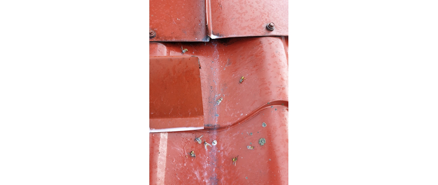 Мониторинг и инспекция