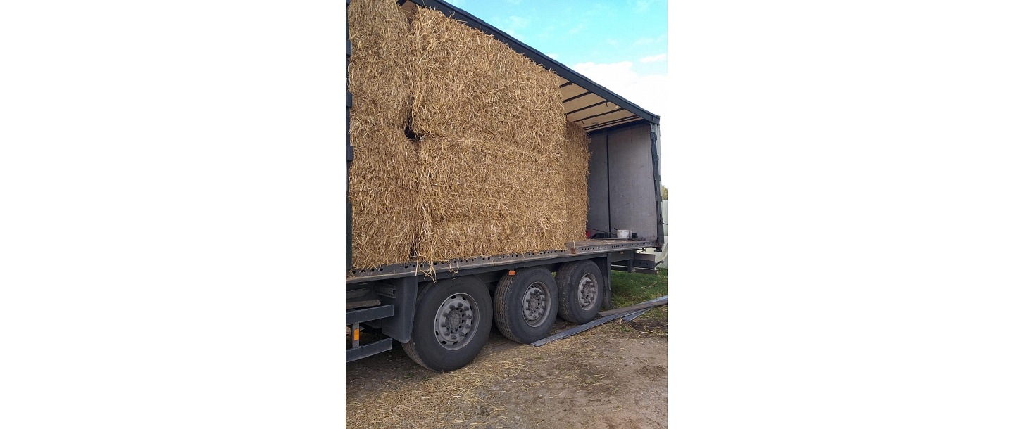 Freight transport