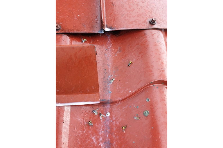 Monitorings un inspekcija