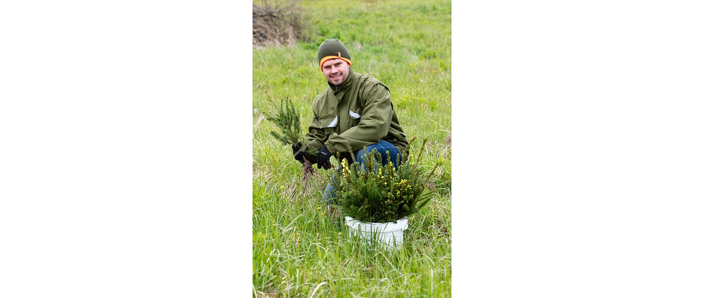 Forest inventory services