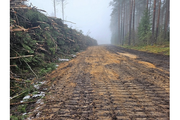 Kokmateriālu izvešana