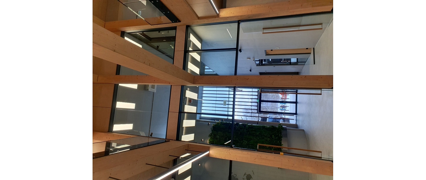 TZMO, construction supervision