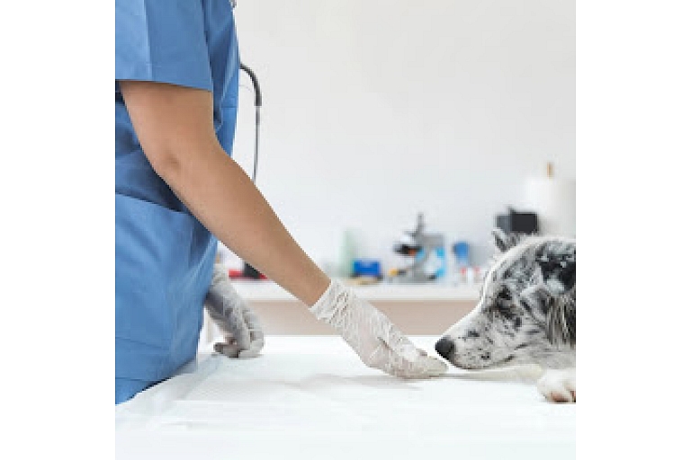 Veterinary medicines