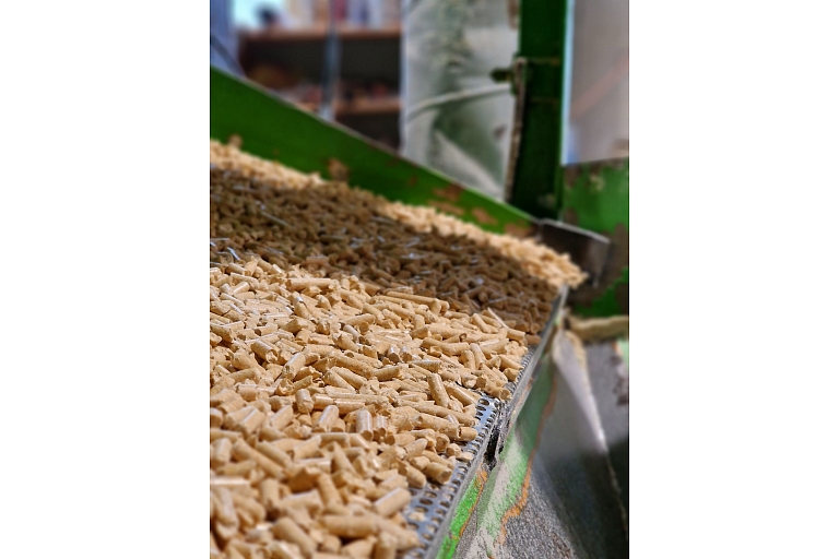 Wood particle pellets