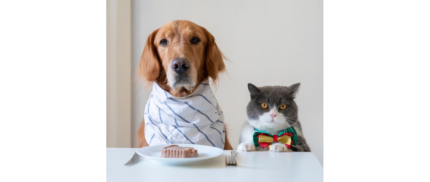 Delicious and balanced treats for your four-legged friend