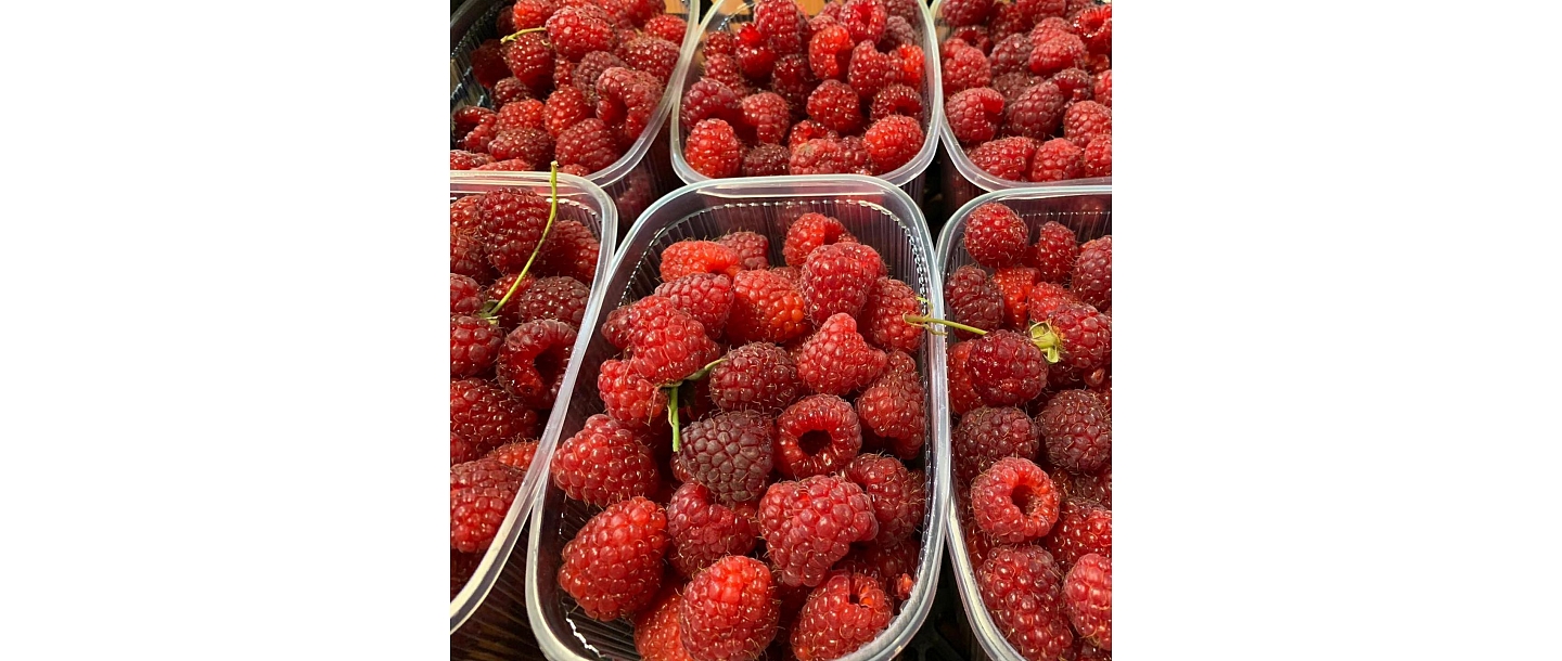 Autumn raspberries