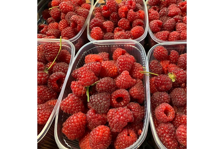 Autumn raspberries