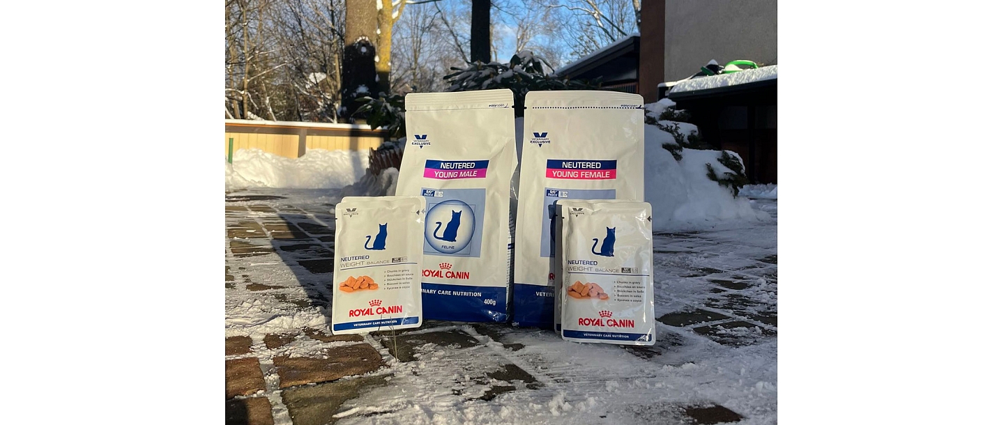 animal medicated feed