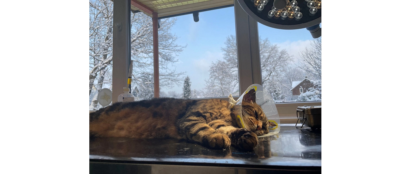 диагностические исследования