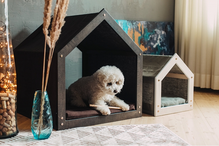 Pet house