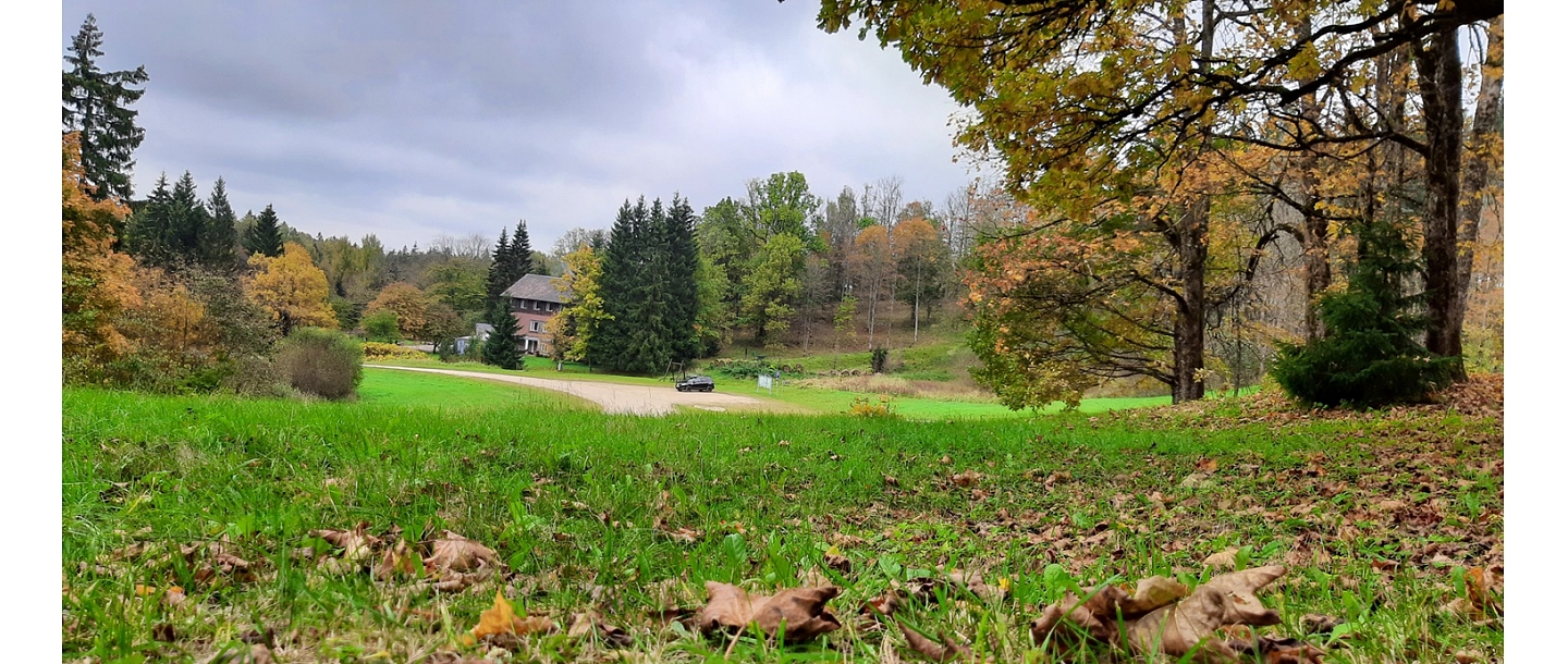 Certified forest appraisers