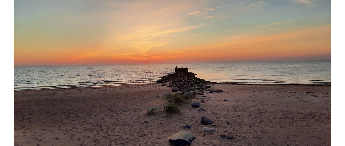 Forest consultations