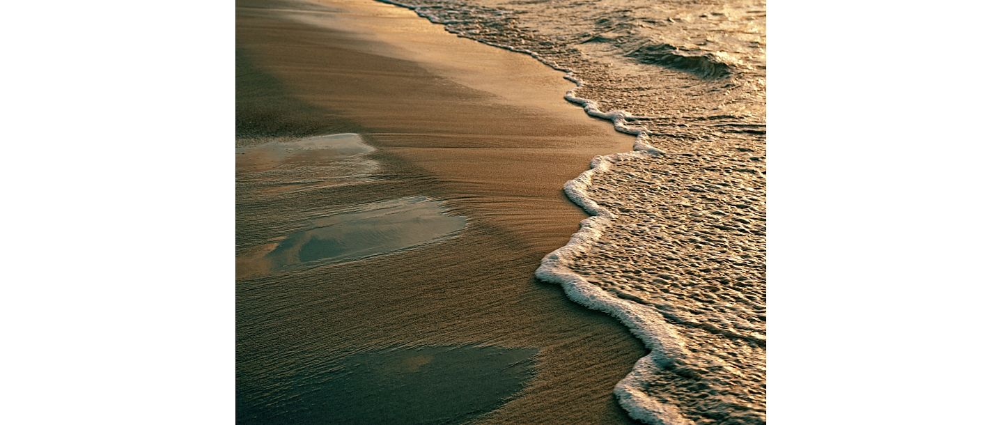 Nature photo