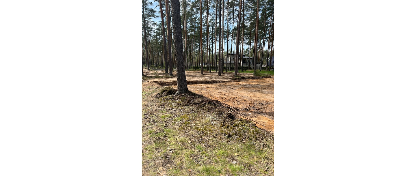 forest land transformation