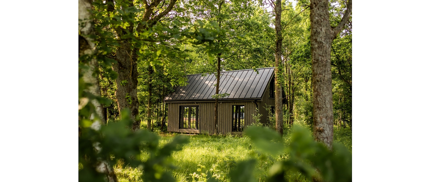 деревянные каркасные дома