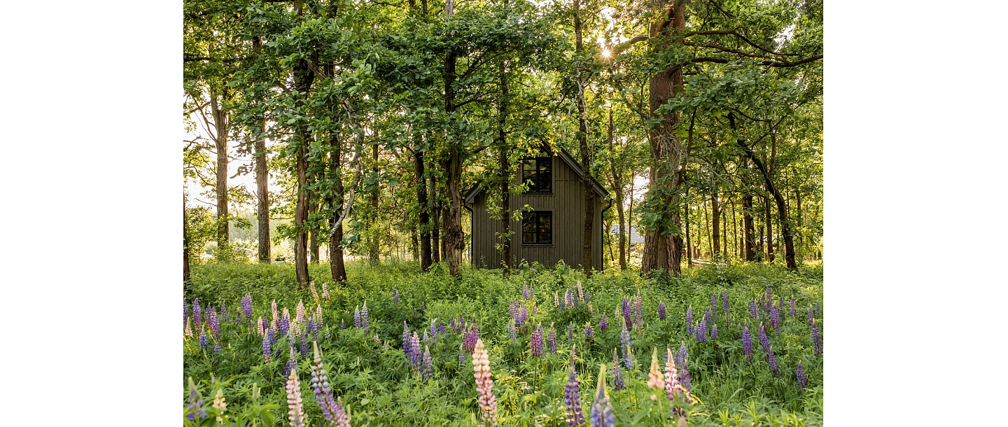 деревянно панельные дома