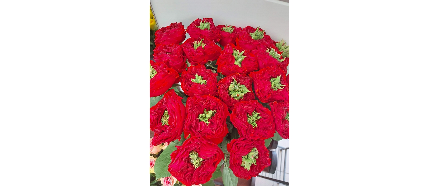 Pūces zieds, flower shop 