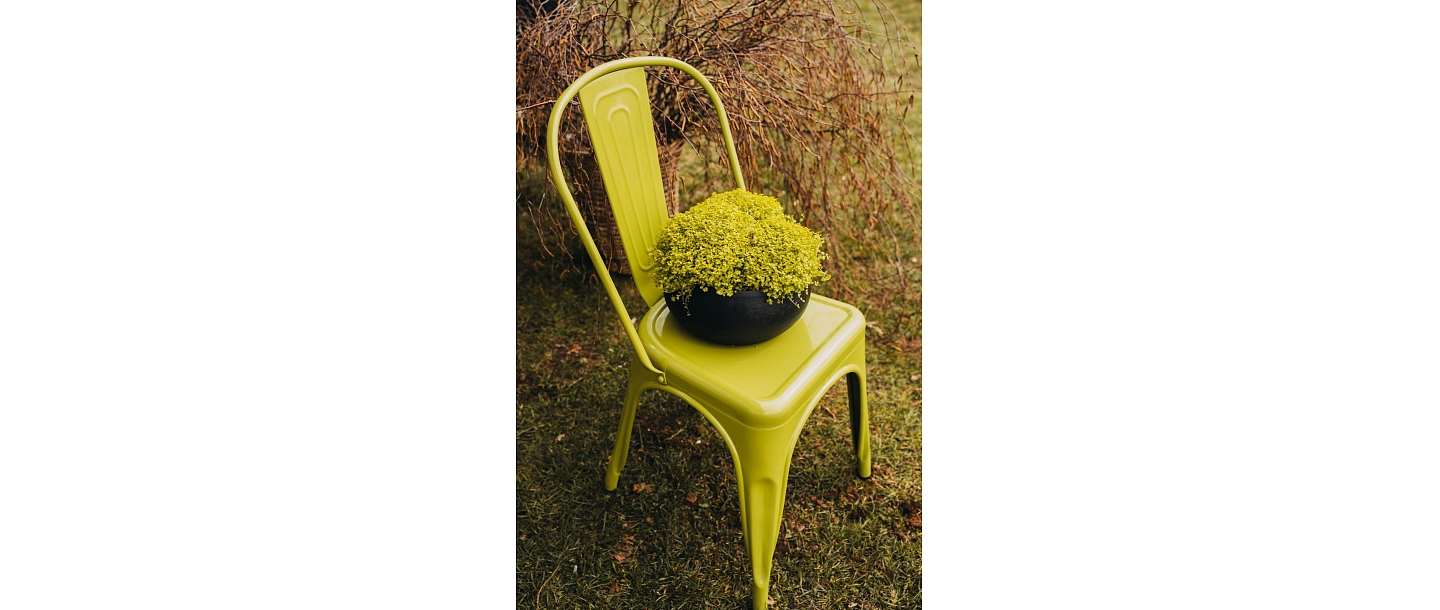 Тематические композиции