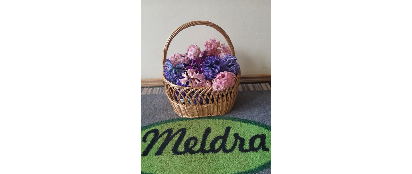 Flower shop in Baldone Meldra