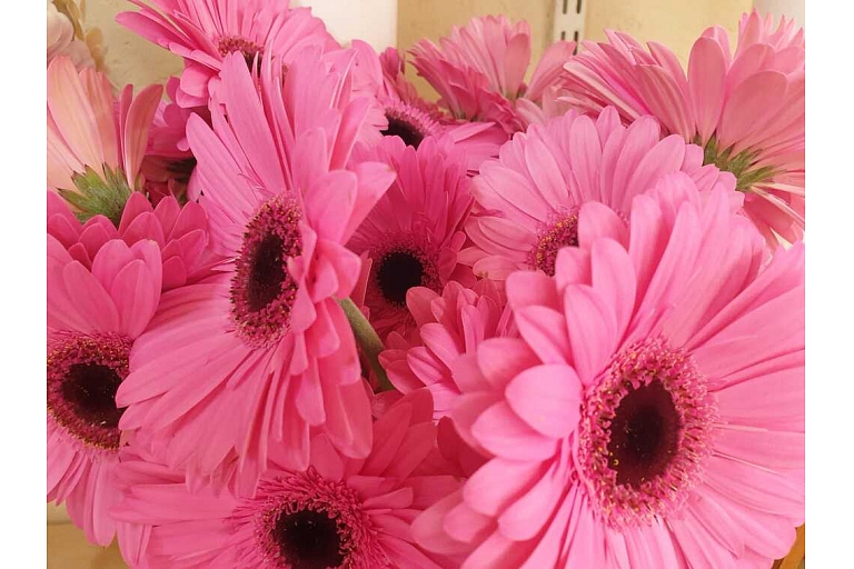Cut flowers in Kengarag