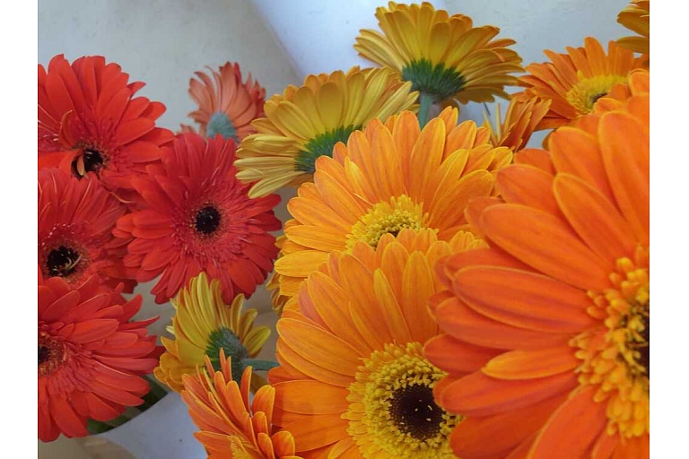 Flower bouquets