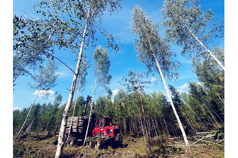 Forvardera pakalpojumi