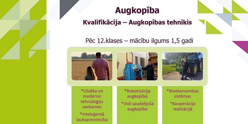 Programmas pēc 12. klases beigšanas
