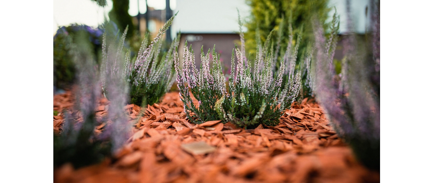 Mulch for the garden