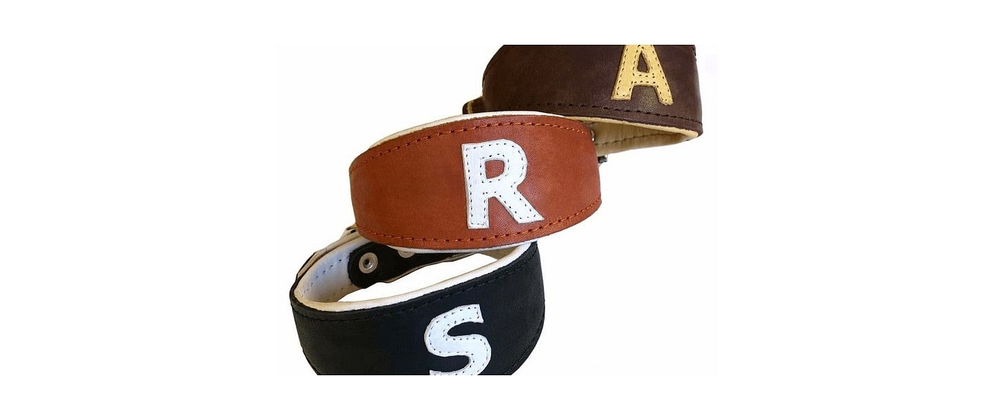 Leather collars for dogs FLEIT