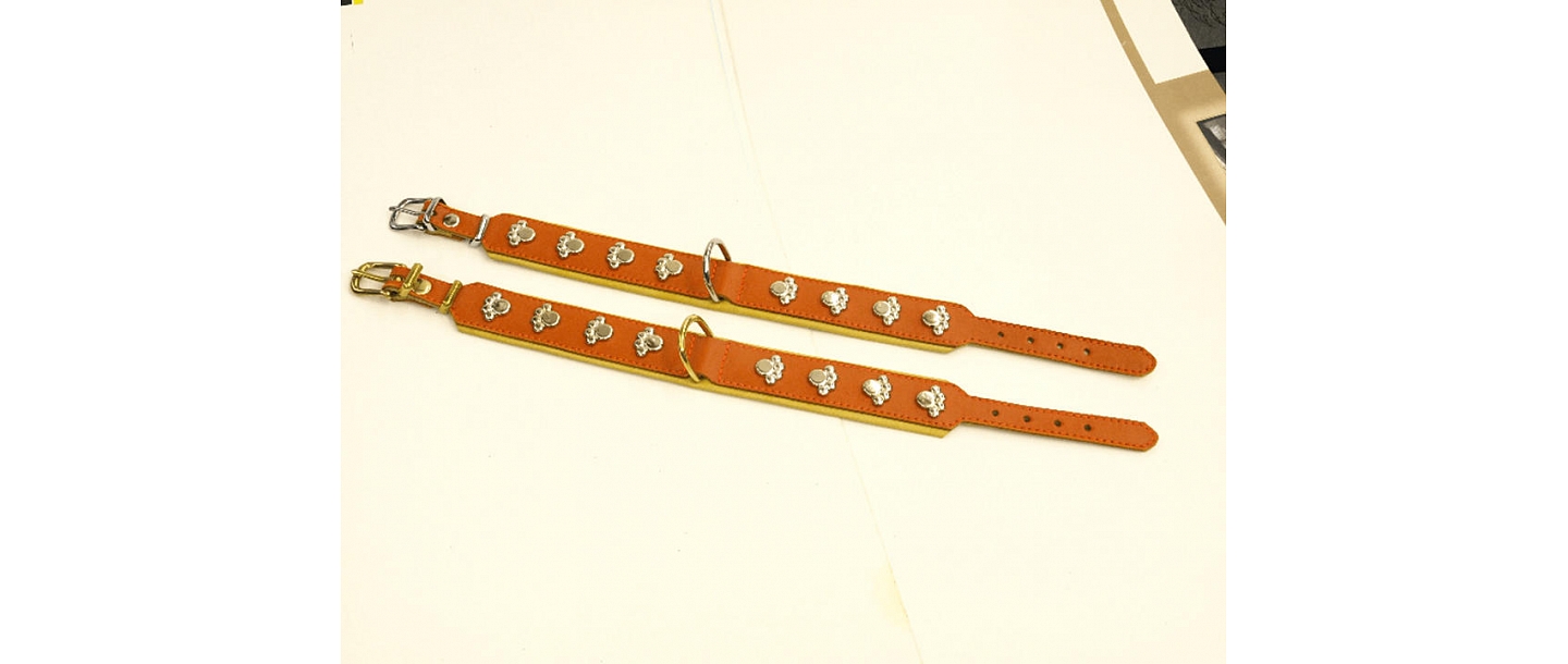 Collars for puppies