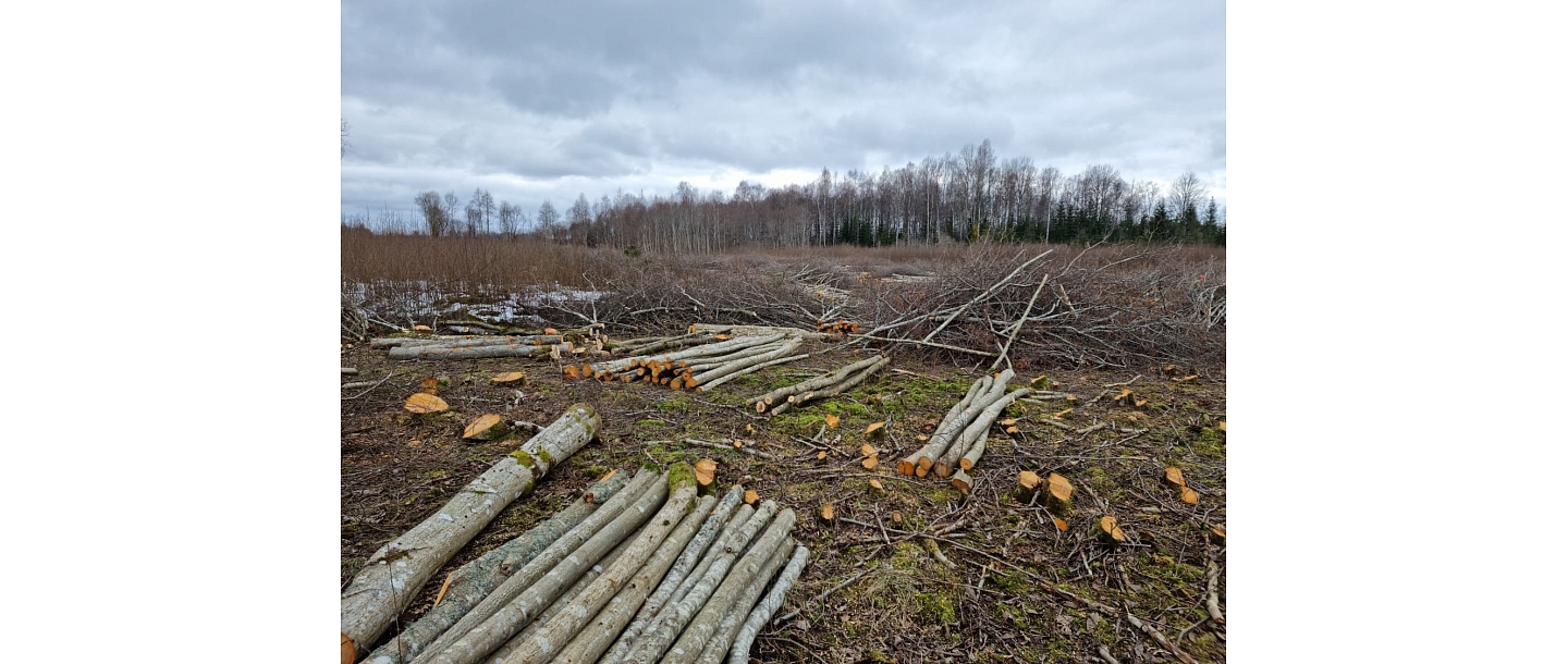 Agricultural land clearing