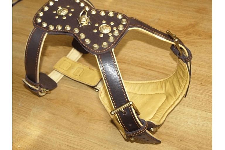 Holders