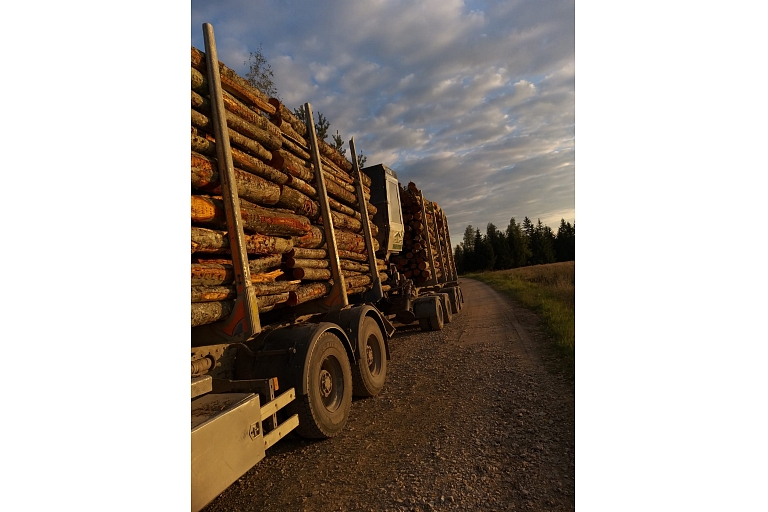 Timber sales