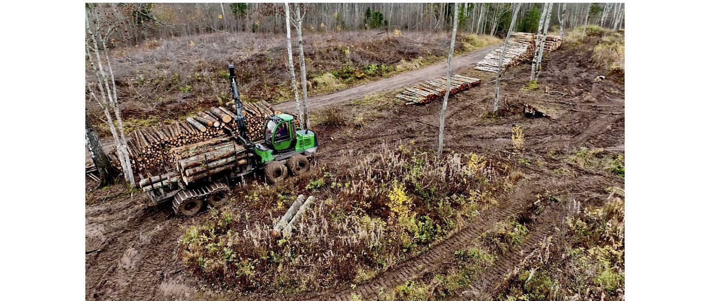Forest removal
