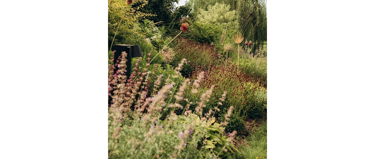 Professionals create and implement landscape projects of various sizes, planting plants