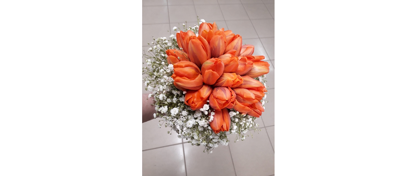 Pūces zieds, flower shop 