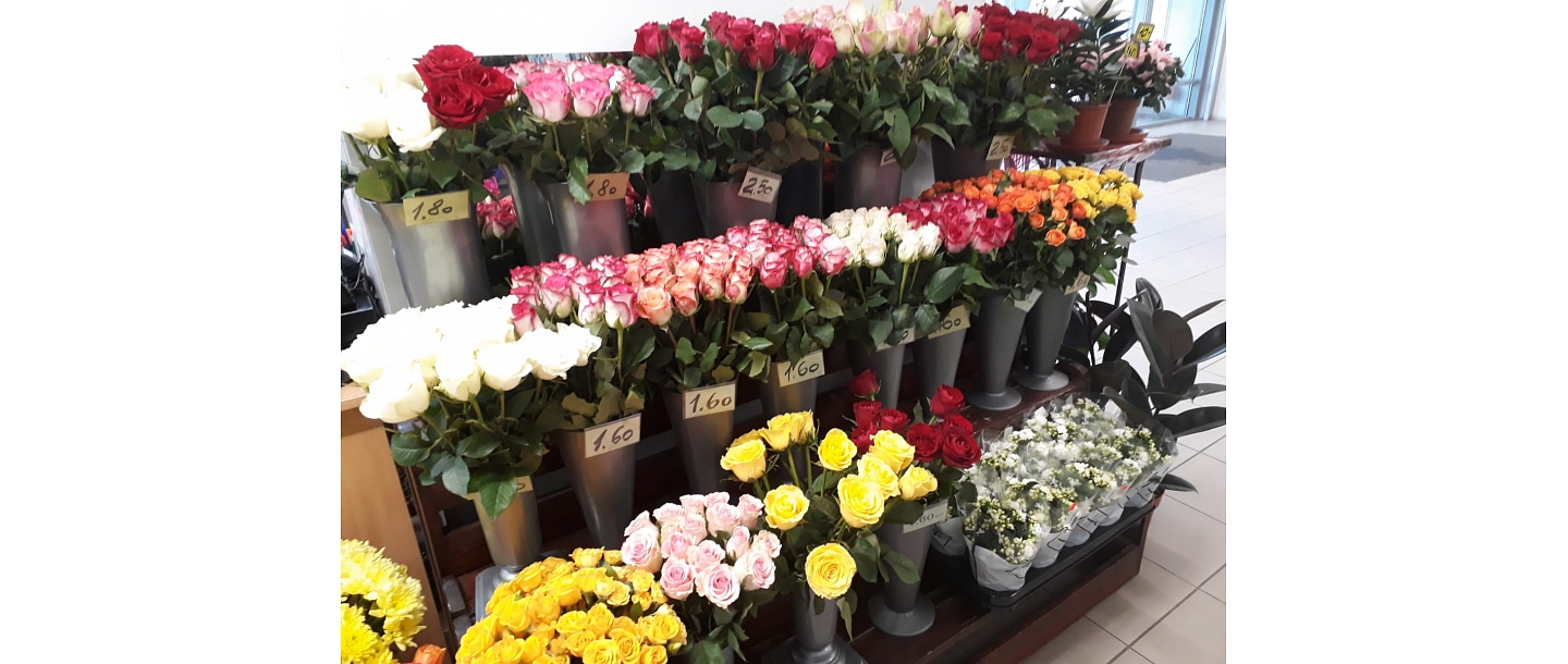 Pūces zieds, flower shop 