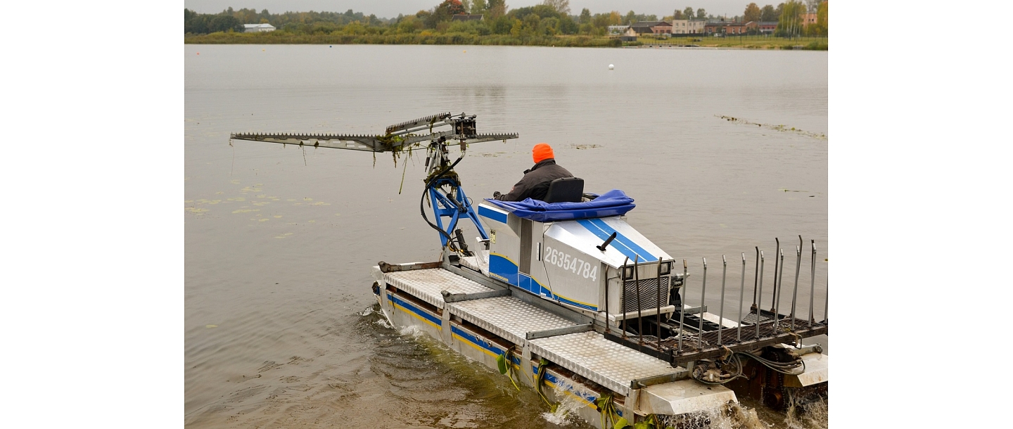 Cleaning of aquatic plants