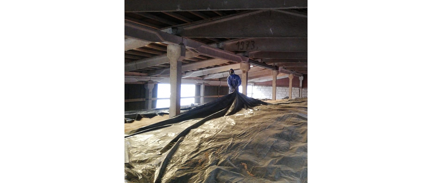 Disinfection in warehouses