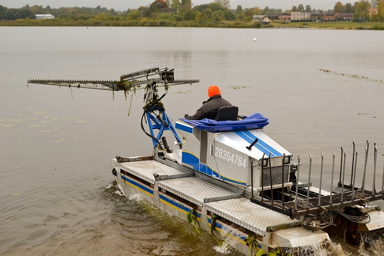 Cleaning of aquatic plants