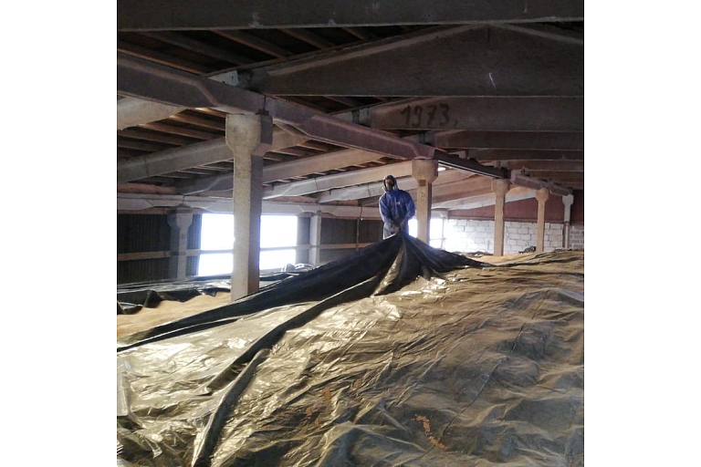 Disinfection in warehouses