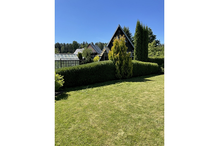 Hedge trimming
