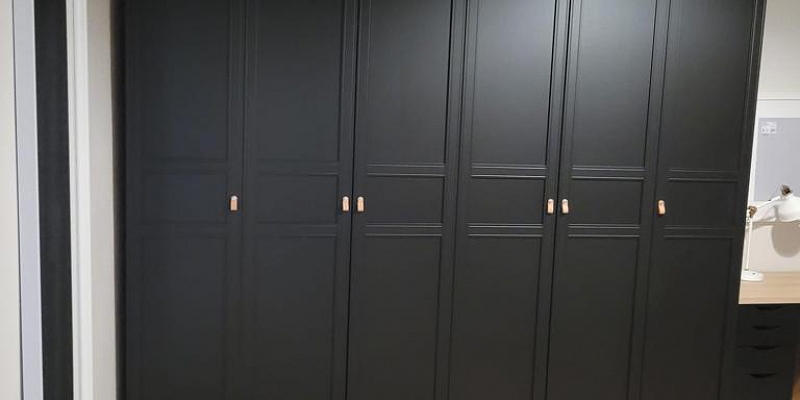 Cabinet and shelf assembly