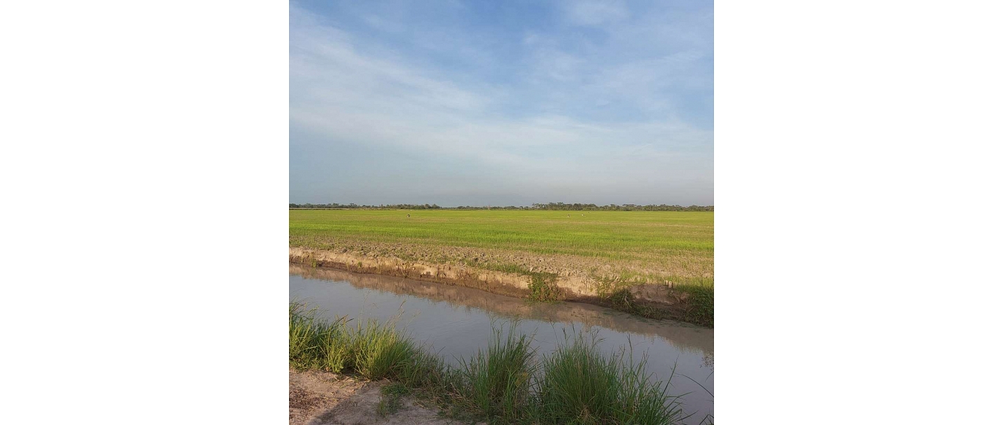 Mežu sertificēšana